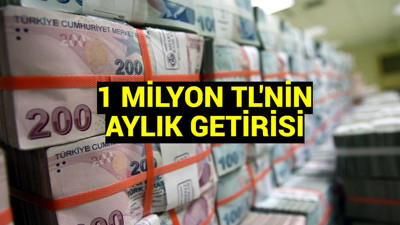 Faizler rekor seviyede: 1 milyon TL’nin aylık getirisi hangi bankada ne kadar? Bankaların güncel faiz getiri oranları