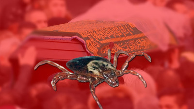 6 ilde ölüm tehlikesi! 5 kişi hayatını kaybetti