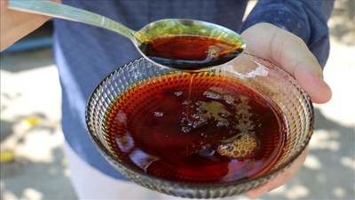 Günde Bir Kaşık Pekmez: Vücut Direncini Katlayan Şaşırtıcı Faydaları!