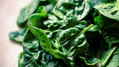 Ispanağın karanlık yüzü: Sağlığa zararlı olduğu ortaya çıktı