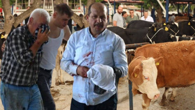 Acemi kasaplar yine hastanelik oldu! Bu bayramda da yine aynı görüntü