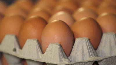 Yumurtada bu kodları gördüyseniz hemen bırakın! Raflardan toplatılıyor