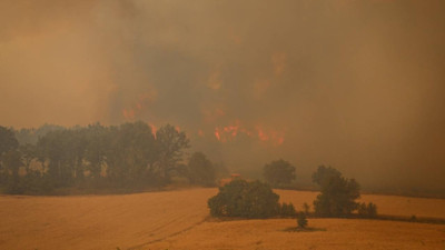 Sakarya'daki orman yangını Bilecik'e sıçradı! Ciğerlerimiz yanıyor. Bakan Yumaklı'dan açıklama