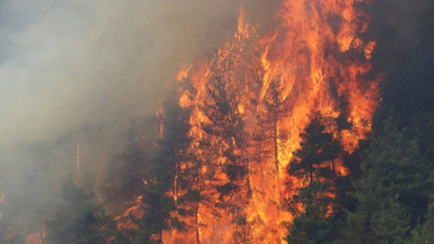 Bursa'da alevler yeniden yükseldi! Türkiye'nin ciğerler yanıyor... İşte son durum