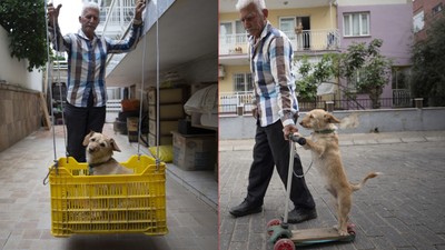 Yürek ısıtan görüntüler! 8'inci torunu oldu. Toprak isimli köpeğini skuterle gezdirip salıncağa bindiriyor