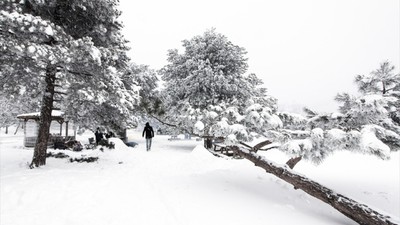 Meteoroloji'de kar yağışı ve Sibirya soğuğu uyarısı! Bu hafta resmen donacağız. İşte yurt genelinde hava durumu...
