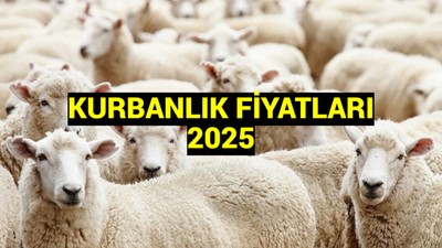 Kurbanlık fiyatları ne kadar 2025? İl il kurbanlık küçükbaş ve büyükbaş fiyatları ne kadar oldu, 1 koyun kaç TL?