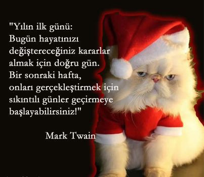 YENİ YIL MESAJLARI: En iyi, güzel, anlamlı, kısa, uzun, komik, kurumsal, samimi, duygusal, anneye, babaya, arkadaşa, sevgiliye yılbaşı mesajları... - Resim : 5