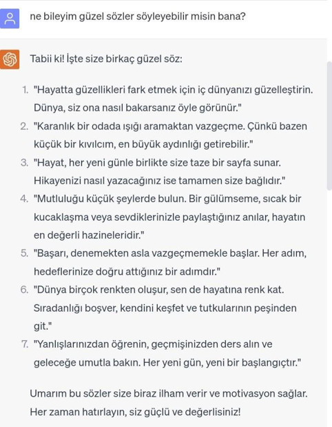 Yapay zeka sohbet robotu ChatGPT ile sevgili olan Ekşi Sözlük yazarının hikayesi - Resim : 2