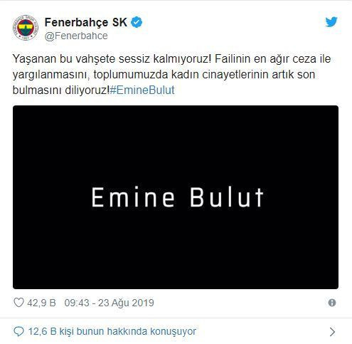 Emine Bulut'un feryadı Türkiye'yi salladı! - Resim : 3