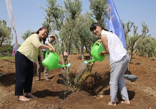 Japon gazetecileri etkileyen klip!