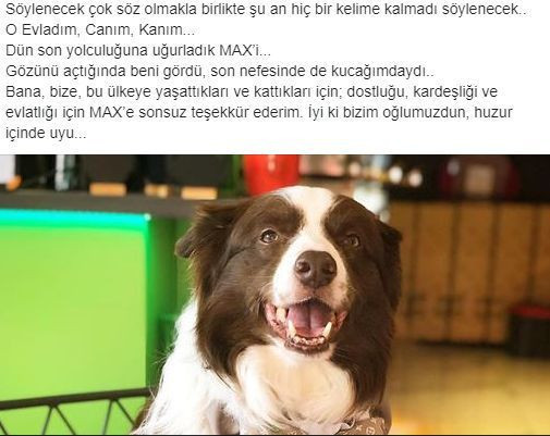 Yetenek Sizsiniz Türkiye birincisi öldü!