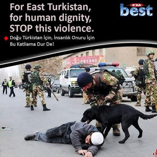 Radyodan 8 dilde kınama mesajı!