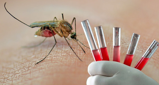 Bu kan grubuna sahip olanlar yaşadı: Sivrisineklerin nefret ettiği kan grubu belli oldu