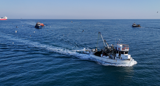 'Futbolcu gibi transfer oluyorlar' 80 bin TL'ye dönüp bakmıyorlar