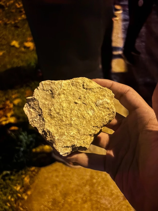 Göksenin Köksal’dan Galatasaray’a ağır hakaret! Tansiyon yükseldi - Resim : 2