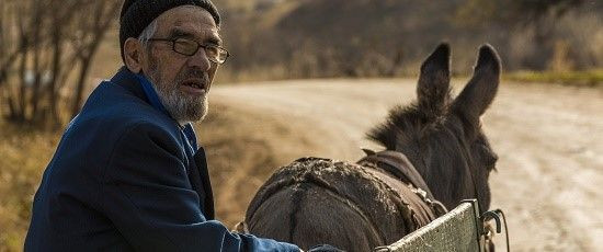 Antalya Film Festivali’nde yarışacak 12 film daha belli oldu!