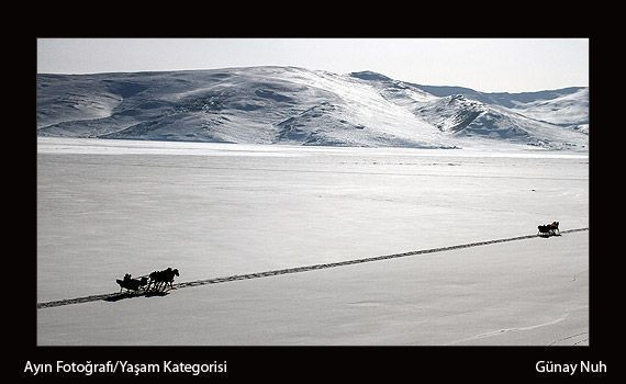 Şubat ayının en iyileri belli oldu! - Resim : 2