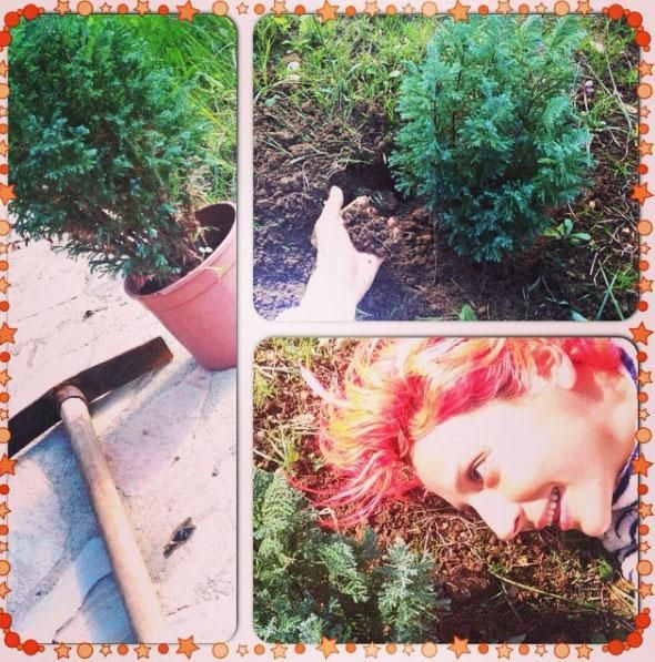 O da İstanbul'dan kaçıp köye yerleşti