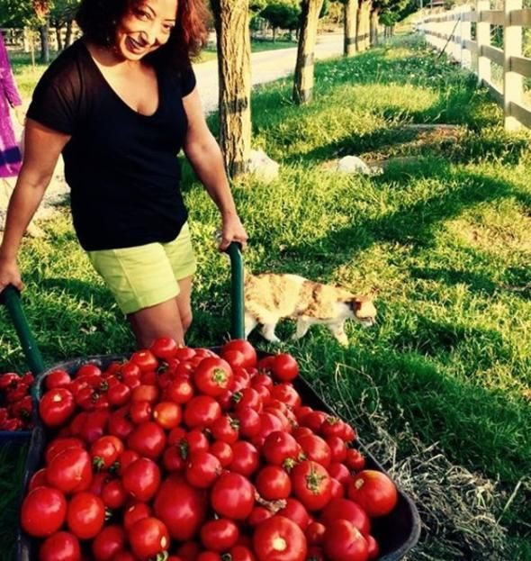 'Çobanlık yaptık, sebze yetiştirdik!' - Resim : 4