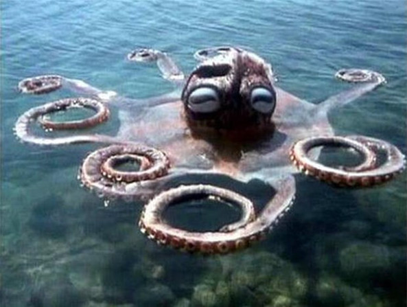 Dün akşam yayınlanan Kim Milyoner Olmak İster'e 'Tarkan: Viking Kanı' adlı filmde 'Vikingler' idam edilecek kişileri hangisine atarlar?' sorusu damga vurdu... - Resim : 5