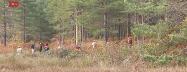 Anne ve oğlunun gizemli kayboluşu 7.gününde! 3 kuvvetli senaryoyu paylaştı