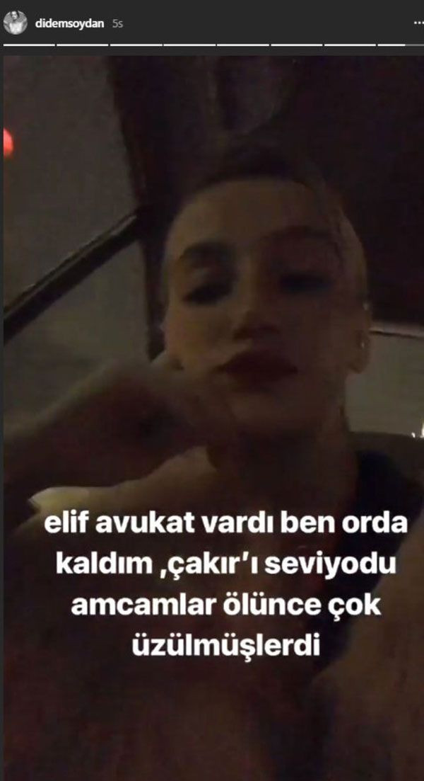 Didem Soydan'ın Kurtlar Vadisi isyanı! - Resim : 3