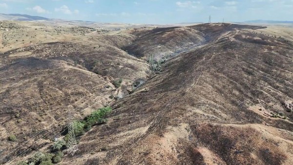 Kırıkkale'de korkutan yangın! Mangal ateşi 3 bin dönüm araziye yayıldı. Yangın, mühimmat depolarına yaklaştı