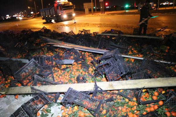 Karayoluna mandalina yağdı! TIR dorsesindeki tonlarca mandalina ortalığa saçıldı - Resim : 3