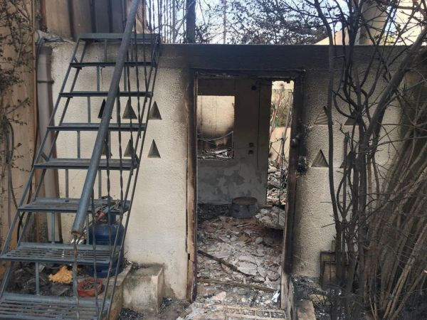 Yunanistan’daki yangın ünlü yönetmenin mirasını da yok etti - Resim : 2