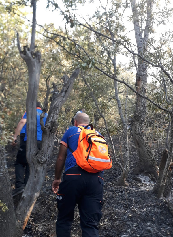 Tunceli Valiliği duyurdu: Ovacık'taki orman yangını kontrol altına alındı - Resim : 2