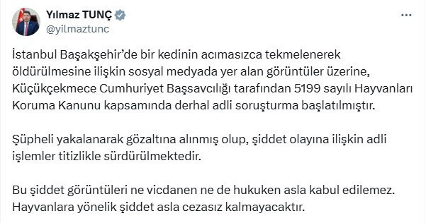 Başakşehir'de insanlık dışı olay! Kediyi yerden yere vurarak öldürdü. Tutuklandı - Resim : 3