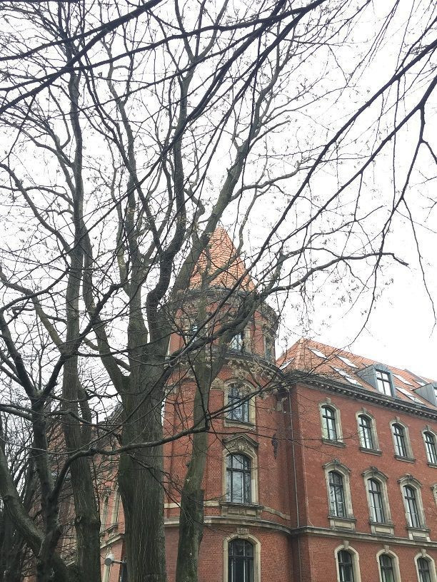 Sayım Çınar yazdı: Bonkör şehir Berlin... - Resim : 7