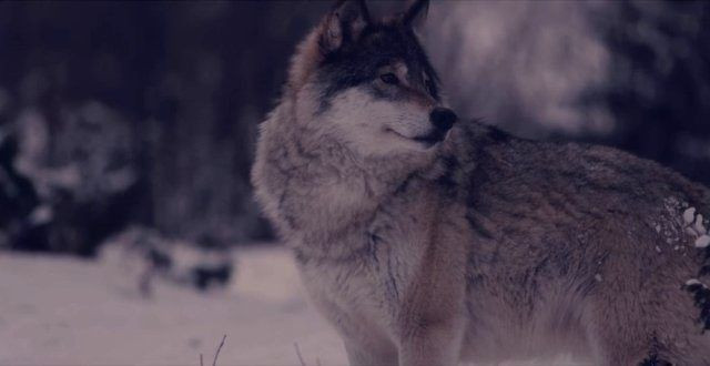 Ünlü YouTuber Reynmen şarkıcı oldu, rekorları alt üst etti! - Resim : 2