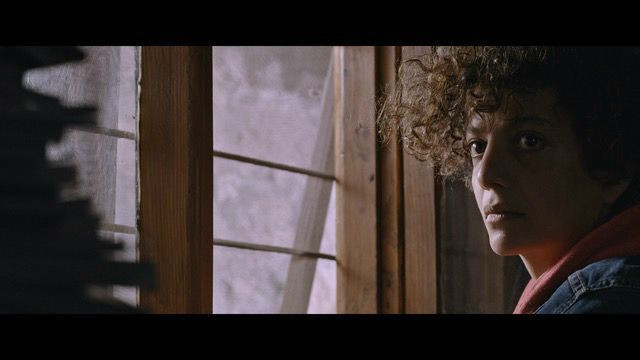 'Omar ve Biz' Varşova Film Festivali'nde dünya prömiyerini yaptı! - Resim : 3