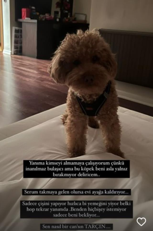 Çağla Şıkel'den üzen haber! Eve kapandı herkesi uyardı - Resim : 2