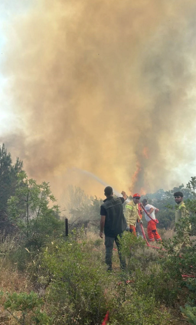 Bursa alev alev yanıyor! Bölge'de enerji akışı kesildi