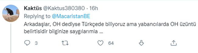 Macaristan Büyükelçisinin 'Cüneyt Arkın'  paylaşımı alay konusu oldu. Büyükelçi, dilbilgisi hatası yapınca yorum üstüne yorum yağdı - Resim : 2