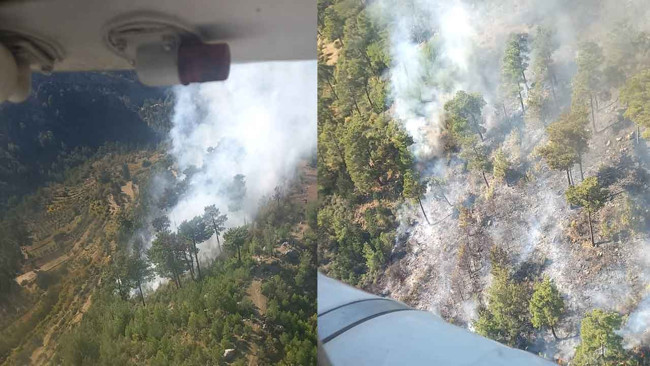 Manavgat'ta orman yangını