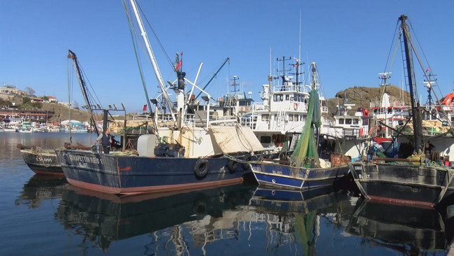 İstanbul Boğazı'nda tartışma yaratan ve uzmanların uyardığı 'av günü' iptal edildi - Resim : 2