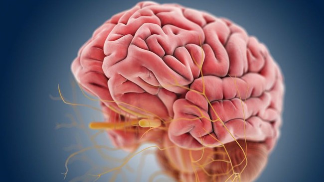 Erken teşhis resmen hayat kurtarıyor: Bu belirtiler alzheimer hastalığına işaret ediyor