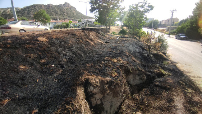 Kendi diktiği ağaçları sularken yangın çıktı, yangına müdahale ederken kalp krizi geçirerek hayatını kaybetti
