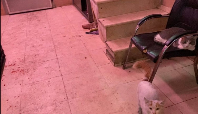 KORKUNÇ! Bu etleri vatandaş yiyecekti. İstanbul et halinde korkunç görüntüler. İstanbul'daki herkes buradan et yemiş olabilir - Resim : 4