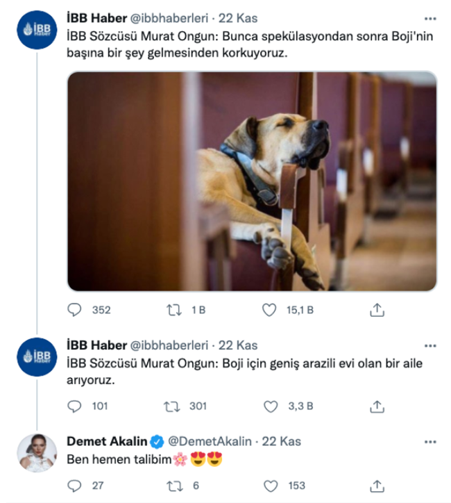 Şarkıcı Demet Akalın, tramvaya pislediği iddiasıyla kumpas kurulan Boji'yle ilgili bakın ne dedi...