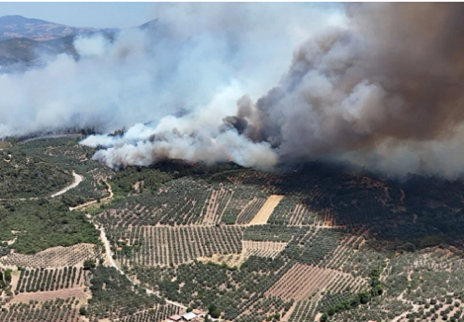 Türkiye'nin ciğerleri yanıyor! İşte yangınlarda son durum - Resim : 3