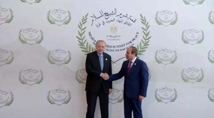 Dünyanın gözü Mısır'daki zirvede! Erdoğan'ın uçağı neden pisti pas geçti? - Resim : 2