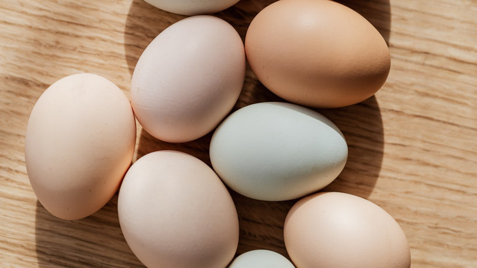 Rekabet Kurumu’ndan yumurta sektörüne soruşturma: Davranışlar incelenecek