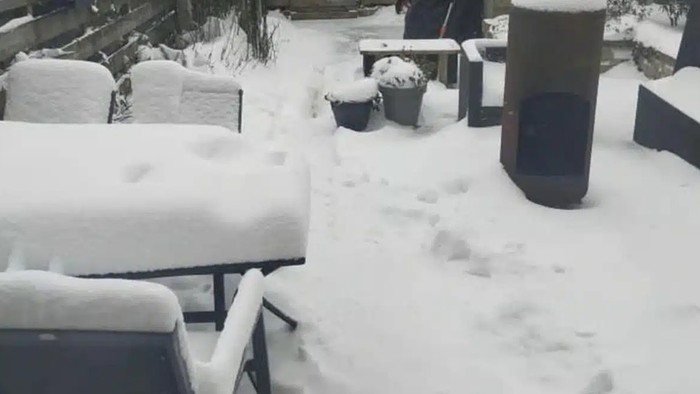 Gözlerinizi dört açın resimdeki gizli kediyi bulun