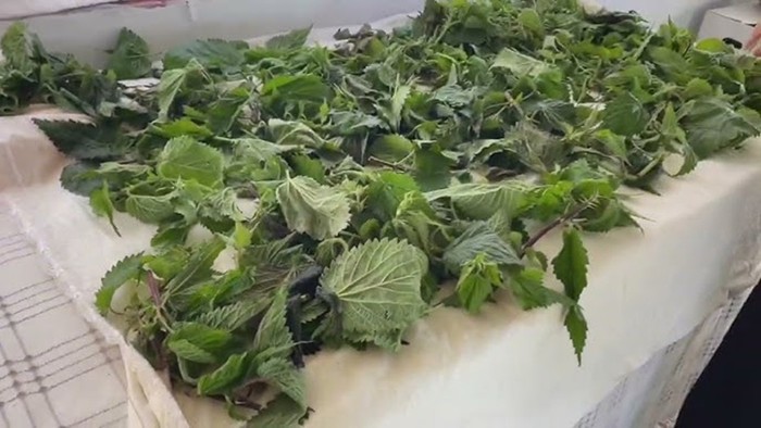 1 tutamı bile kansere karşı koruma sağlıyor