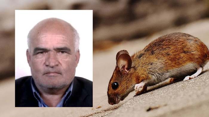 Kesik Yüz ve Kesik Kulakların Sırrı Ortaya Çıktı